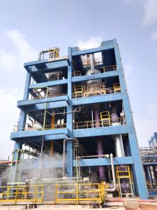 Image taken at the site showing one side of the whole of the plant
